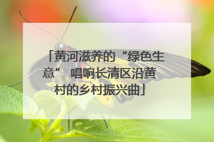 黄河滋养的“绿色生意” 唱响长清区沿黄村的乡村振兴曲