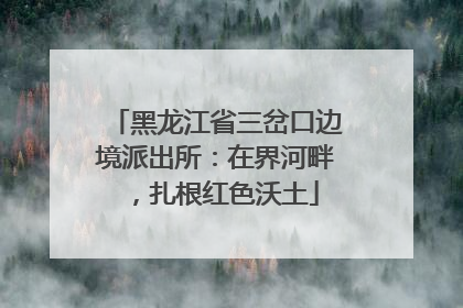 黑龙江省三岔口边境派出所：在界河畔，扎根红色沃土