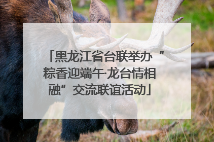 黑龙江省台联举办“粽香迎端午·龙台情相融”交流联谊活动