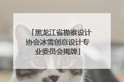 黑龙江省勘察设计协会冰雪创意设计专业委员会揭牌