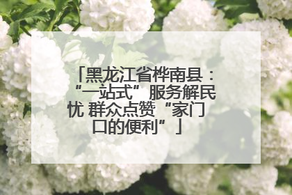 黑龙江省桦南县：“一站式”服务解民忧 群众点赞“家门口的便利”