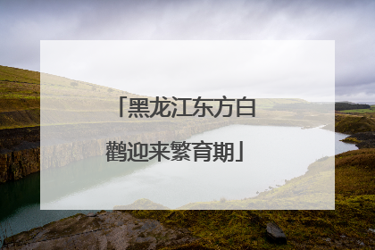 黑龙江东方白鹳迎来繁育期