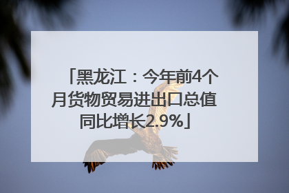 黑龙江：今年前4个月货物贸易进出口总值同比增长2.9%