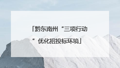 黔东南州“三项行动”优化招投标环境
