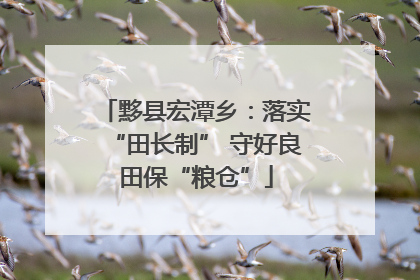 黟县宏潭乡：落实“田长制” 守好良田保“粮仓”