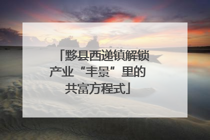 黟县西递镇解锁产业“丰景”里的共富方程式