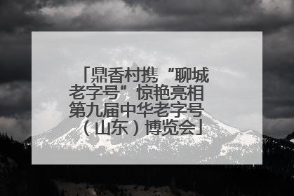 鼎香村携“聊城老字号”惊艳亮相第九届中华老字号（山东）博览会