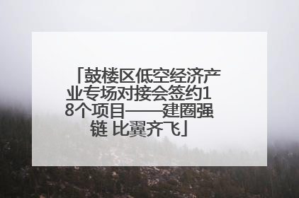 鼓楼区低空经济产业专场对接会签约18个项目——建圈强链 比翼齐飞