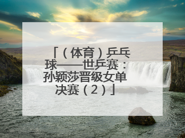 （体育）乒乓球——世乒赛：孙颖莎晋级女单决赛（2）