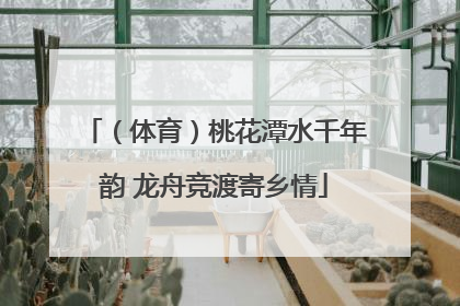 （体育）桃花潭水千年韵 龙舟竞渡寄乡情