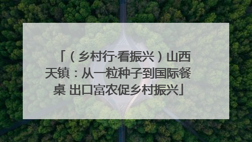 （乡村行·看振兴）山西天镇：从一粒种子到国际餐桌 出口富农促乡村振兴
