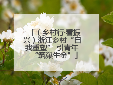 （乡村行·看振兴）浙江乡村“自我重塑” 引青年“筑巢生金”