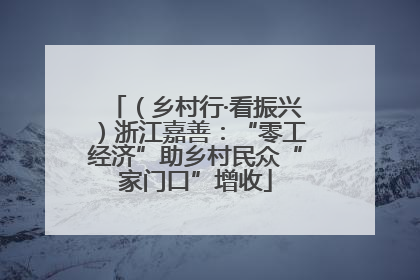 （乡村行·看振兴）浙江嘉善：“零工经济”助乡村民众“家门口”增收