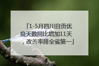 1-5月四川自贡优良天数同比增加11天，改善率排全省第一