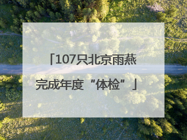 107只北京雨燕完成年度“体检”