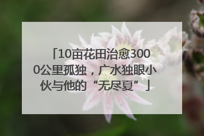 10亩花田治愈3000公里孤独，广水独眼小伙与他的“无尽夏”