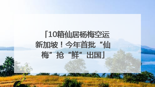 10箱仙居杨梅空运新加坡！今年首批“仙梅”抢“鲜”出国