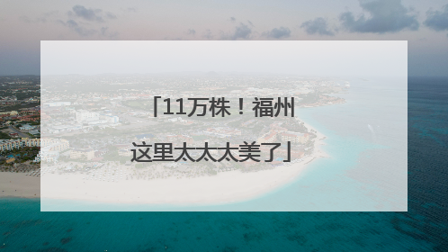11万株！福州这里太太太美了
