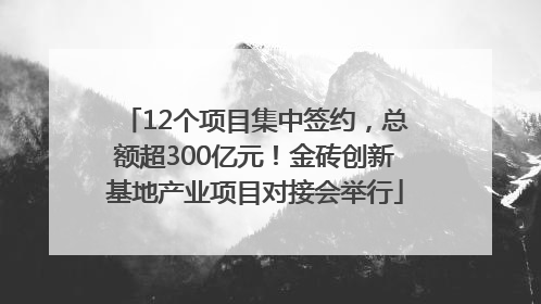 12个项目集中签约，总额超300亿元！金砖创新基地产业项目对接会举行
