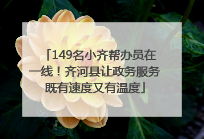 149名小齐帮办员在一线！齐河县让政务服务既有速度又有温度