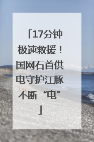 17分钟极速救援！国网石首供电守护江豚不断“电”