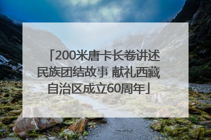 200米唐卡长卷讲述民族团结故事 献礼西藏自治区成立60周年