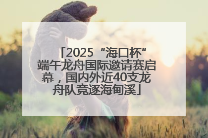 2025“海口杯”端午龙舟国际邀请赛启幕，国内外近40支龙舟队竞逐海甸溪