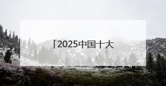 2025中国十大小红书电商代运营公司：十大领军企业引领社交电商新风向