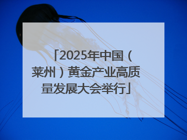 2025年中国（莱州）黄金产业高质量发展大会举行