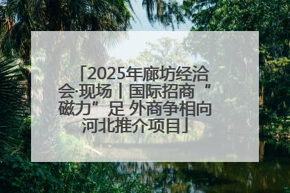 2025年廊坊经洽会·现场丨国际招商“磁力”足 外商争相向河北推介项目