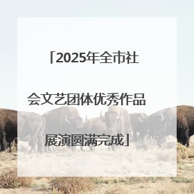 2025年全市社会文艺团体优秀作品展演圆满完成