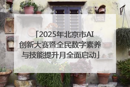 2025年北京市AI创新大赛暨全民数字素养与技能提升月全面启动