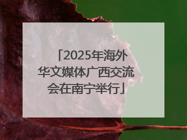2025年海外华文媒体广西交流会在南宁举行