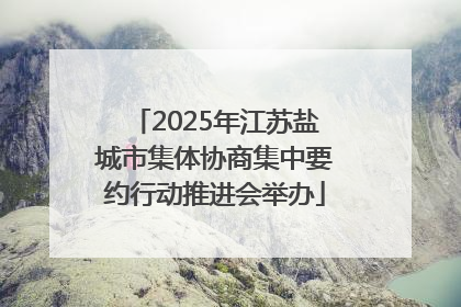 2025年江苏盐城市集体协商集中要约行动推进会举办