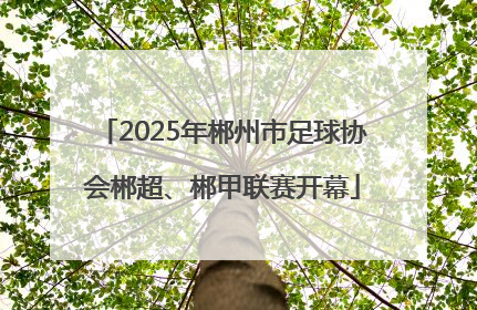 2025年郴州市足球协会郴超、郴甲联赛开幕