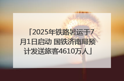 2025年铁路暑运于7月1日启动 国铁济南局预计发送旅客4610万人