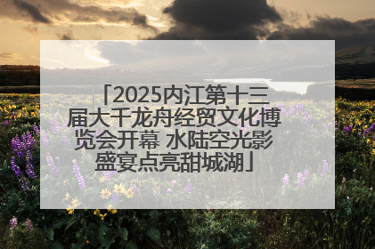 2025内江第十三届大千龙舟经贸文化博览会开幕 水陆空光影盛宴点亮甜城湖