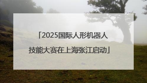 2025国际人形机器人技能大赛在上海张江启动