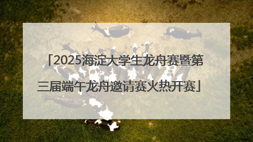 2025海淀大学生龙舟赛暨第三届端午龙舟邀请赛火热开赛