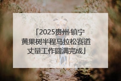 2025贵州·镇宁黄果树半程马拉松赛道丈量工作圆满完成