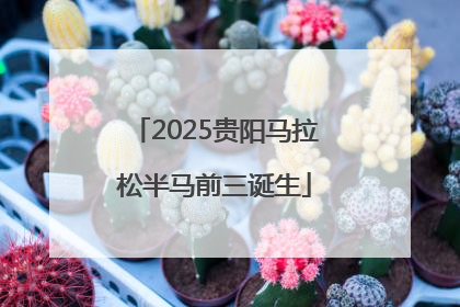 2025贵阳马拉松半马前三诞生
