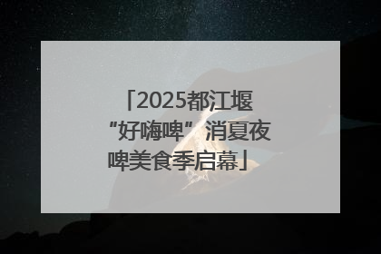 2025都江堰“好嗨啤”消夏夜啤美食季启幕