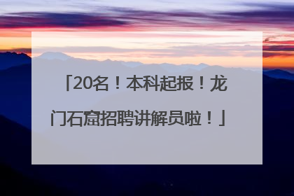 20名！本科起报！龙门石窟招聘讲解员啦！