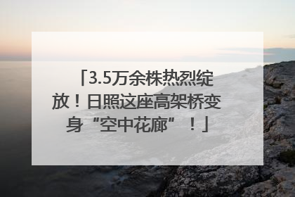 3.5万余株热烈绽放！日照这座高架桥变身“空中花廊”！
