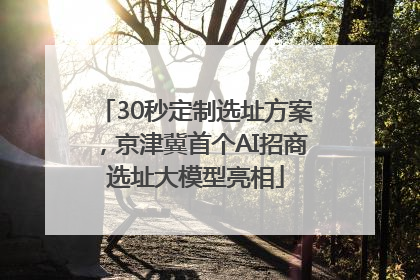 30秒定制选址方案，京津冀首个AI招商选址大模型亮相