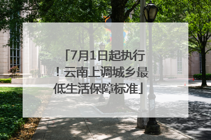 7月1日起执行！云南上调城乡最低生活保障标准