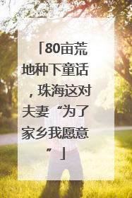 80亩荒地种下童话,珠海这对夫妻“为了家乡我愿意”