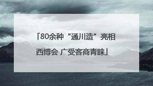 80余种“通川造”亮相西博会 广受客商青睐