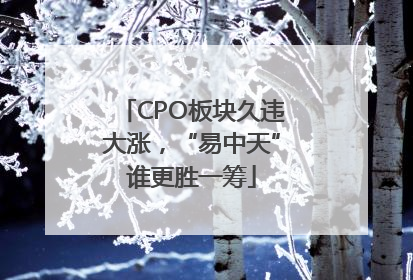 CPO板块久违大涨，“易中天”谁更胜一筹