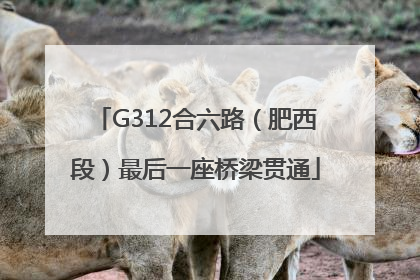 G312合六路（肥西段）最后一座桥梁贯通